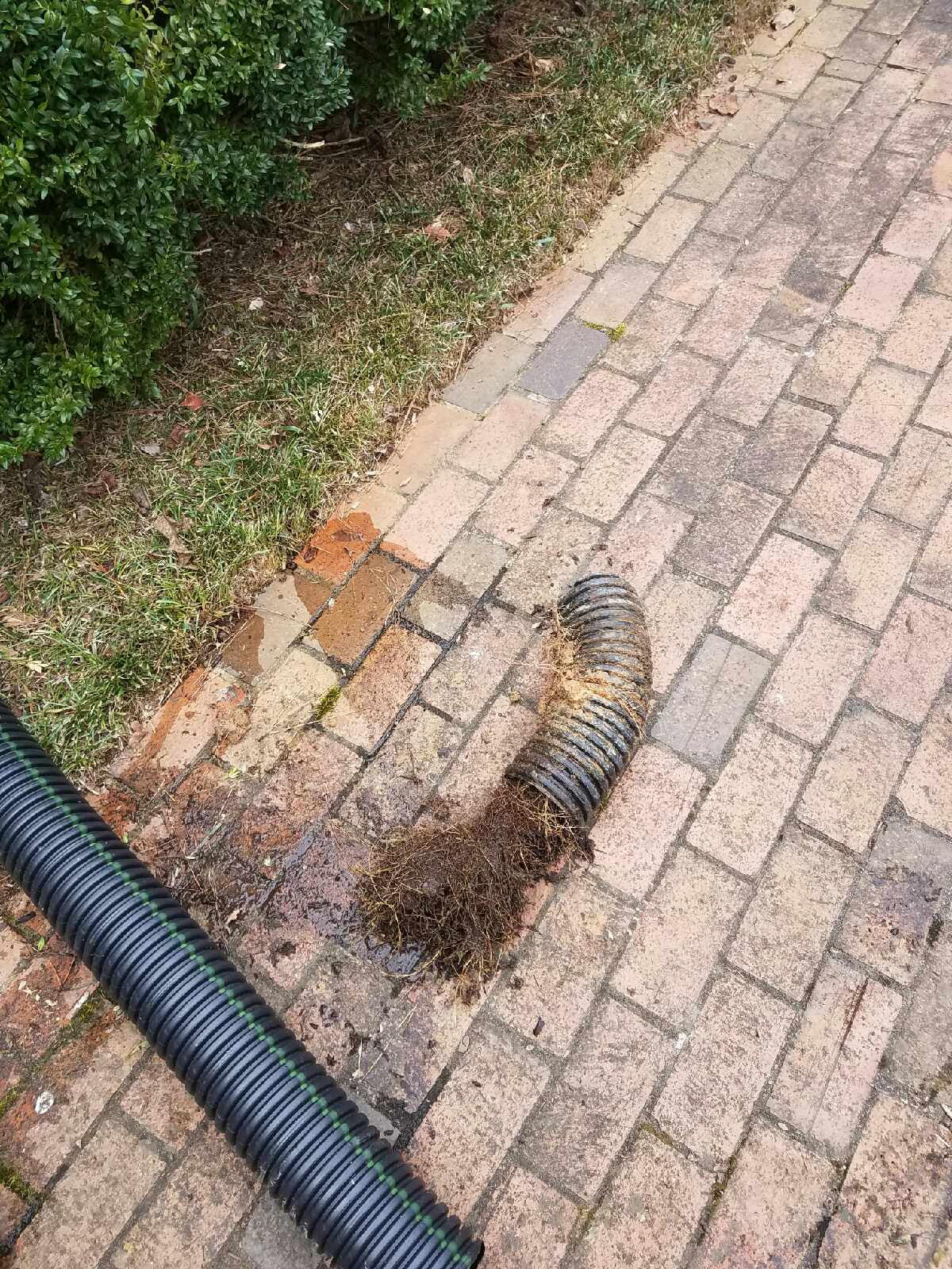 Underground pipe clog