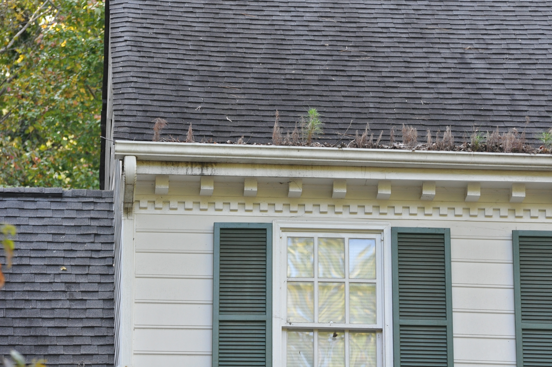 Debris clogged gutter run