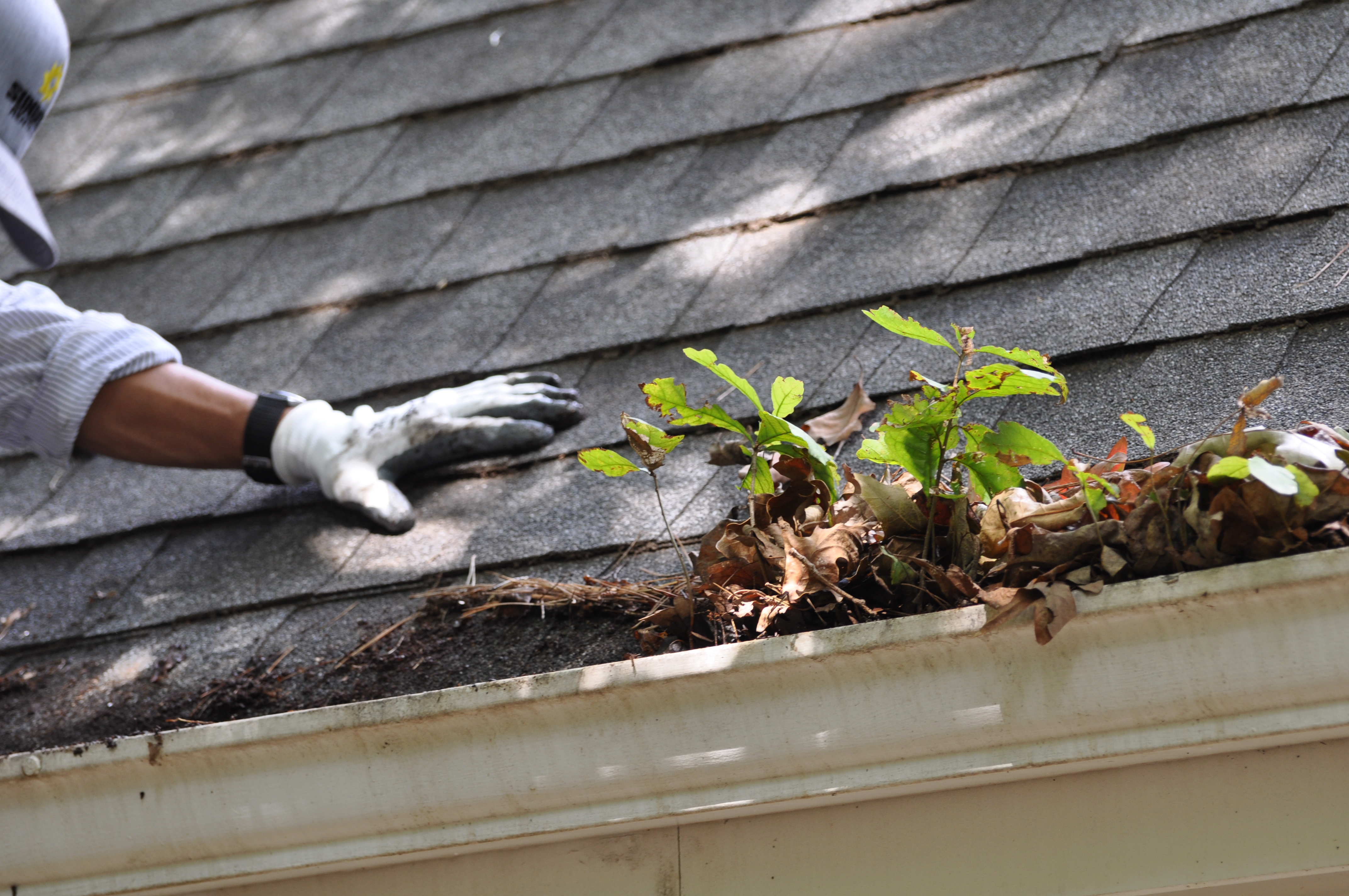 Gutter guard removal in progress