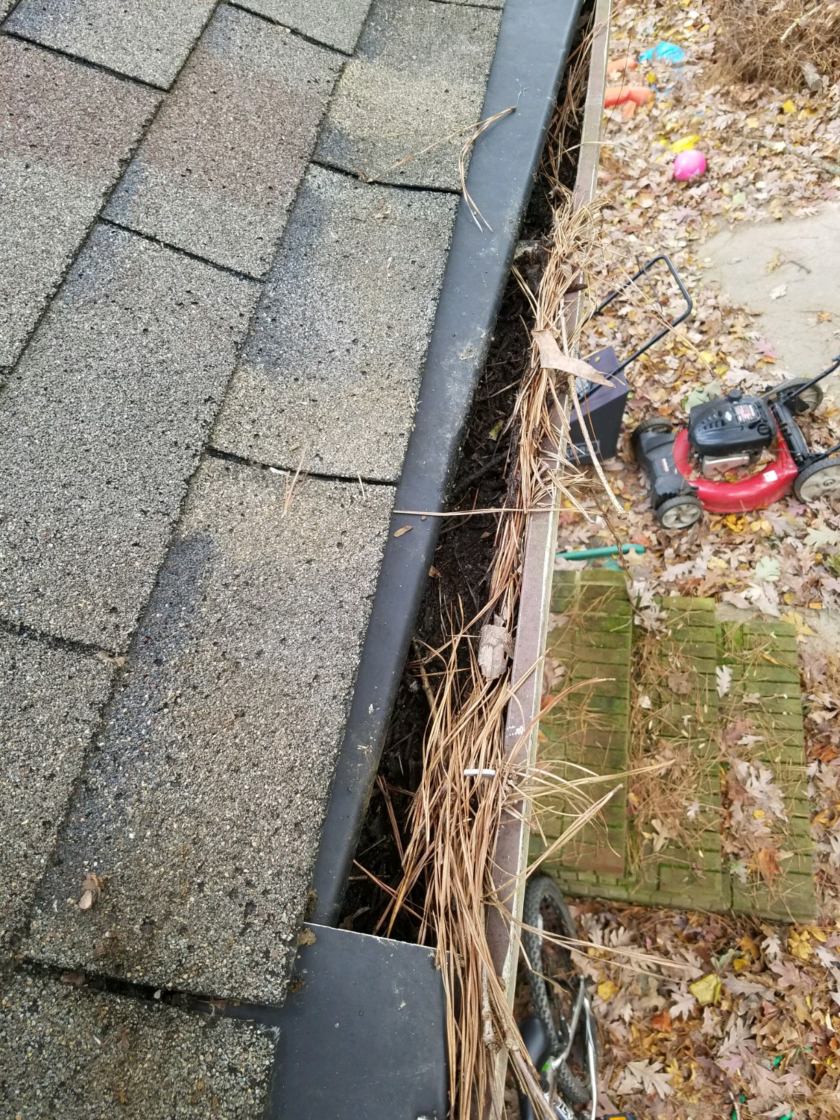 Leaves packed inside gutter